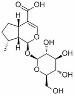 8-Epideoxyloganic acid，分析标准品,HPLC≥98%