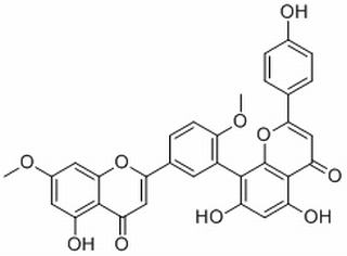 银杏双黄酮,分析标准品,HPLC≥98%