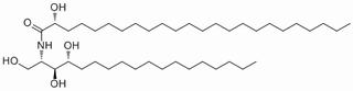 2-(2'-Hydroxytetracosanoylamino)-octadecane-1,3,4-triol,分析标准品,HPLC≥98%
