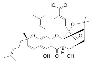 9S-10alpha-羟基表藤黄酸,分析标准品,HPLC≥95%
