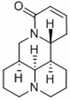槐果碱,分析标准品,HPLC≥98%