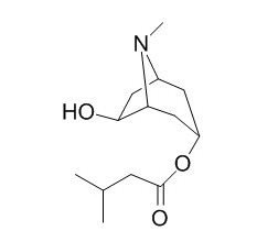 戊茄碱,分析标准品,HPLC≥95%