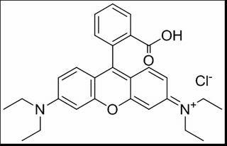 罗丹明B,分析标准品,HPLC≥94%