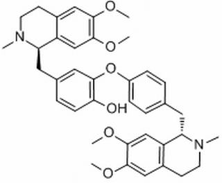 蝙蝠葛碱，分析标准品,HPLC≥98%