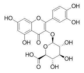 槲皮素3-O-葡萄糖酸苷,分析标准品,HPLC≥95%