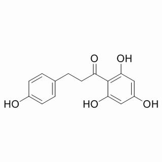 根皮素,分析标准品,HPLC≥98%