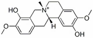 汉防己丙素，分析标准品,HPLC≥98%