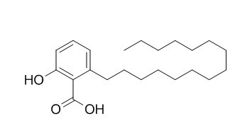 银杏酸C15:0,分析标准品,HPLC≥98%