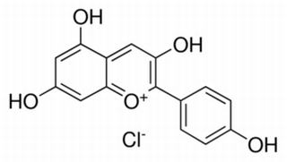 天竺葵素(氯化花葵素),分析标准品,HPLC≥96%
