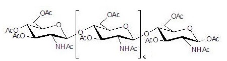 全乙酰化的壳六糖,分析标准品,HPLC≥95%