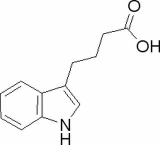 吲哚丁酸,分析标准品,HPLC≥99%