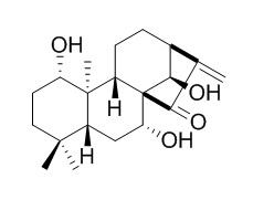尾叶香茶菜戊素,分析标准品,HPLC≥95%