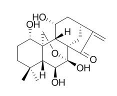 疏展香茶菜宁E,分析标准品,HPLC≥95%