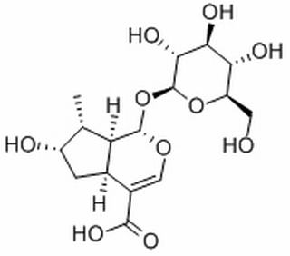 马钱苷酸,分析标准品,HPLC≥98%