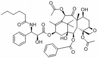 紫杉醇C,分析标准品,HPLC≥98%