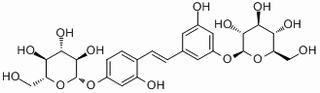 桑皮苷A,分析标准品,HPLC≥98%