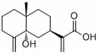 5α-Hydroxycostic acid,分析标准品,HPLC≥98%