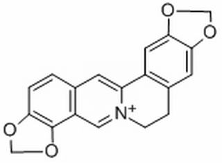 黄连碱,分析标准品,HPLC≥98%