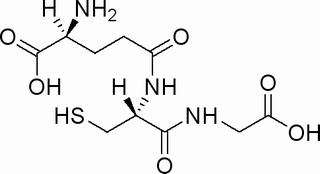 还原型谷胱甘肽,分析标准品,HPLC≥98%