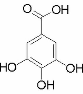 没食子酸一水物,分析标准品,HPLC≥99%