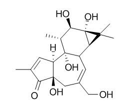 佛波醇,分析标准品,HPLC≥98%