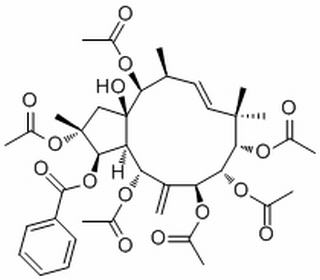 Jatrophane 2，分析标准品,HPLC≥98%