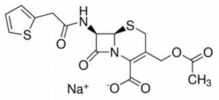 头孢噻吩钠,分析标准品,HPLC≥98%