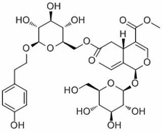 特女贞苷,分析标准品,HPLC≥98%