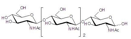 N-乙酰化的壳四糖,分析标准品,HPLC≥97%