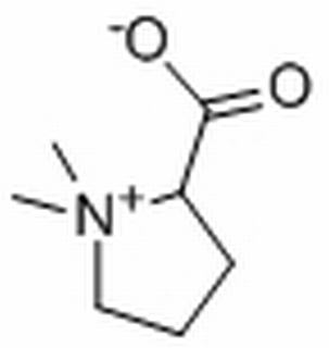 水苏碱,分析标准品,HPLC≥98%