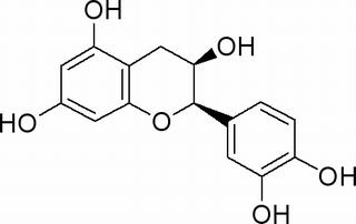 表儿茶素,分析标准品,HPLC≥98%