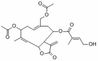 野马追内酯B,分析标准品,HPLC≥98%