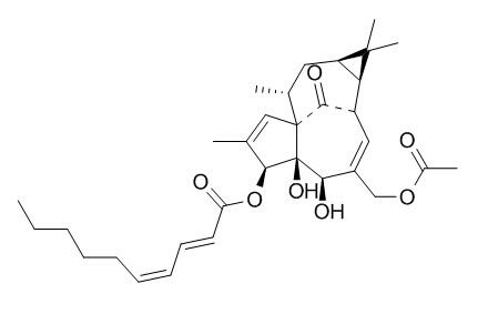 3-O-(2'E,4'Z-癸二烯酰基)-20-O-乙酰巨大戟二萜醇,分析标准品,HPLC≥95%