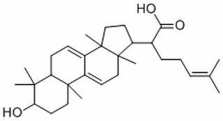 松苓新酸,分析标准品,HPLC≥98%