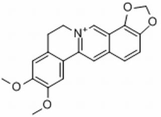 表小檗碱，分析标准品,HPLC≥98%