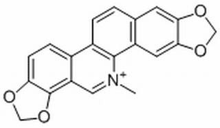 血根碱,分析标准品,HPLC≥98%