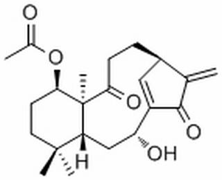 Kongensin A,分析标准品,HPLC≥98%