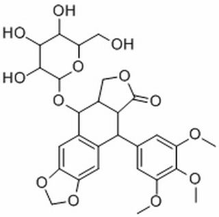 鬼臼毒素-4-O-葡萄糖苷，分析标准品,HPLC≥98%