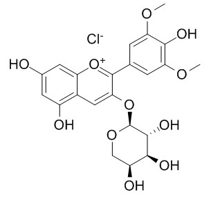 氯化锦葵色素-3-O-阿拉伯糖苷,分析标准品,HPLC≥95%