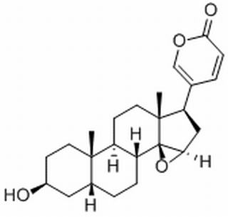 酯蟾毒配基,分析标准品,HPLC≥98%