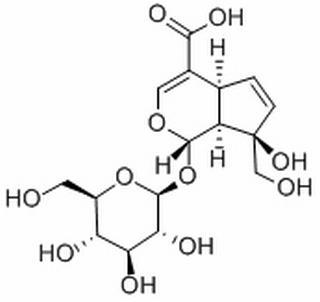 水晶兰苷,分析标准品,HPLC≥98%