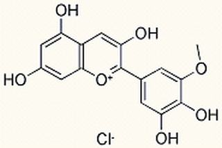 矮牵牛色素 ,分析标准品,HPLC≥95%
