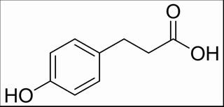 对羟基苯丙酸,分析标准品,HPLC≥98%