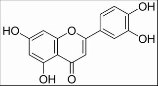 木犀草素,分析标准品,HPLC≥98%