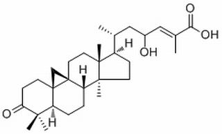 23-Hydroxymangiferonic acid，分析标准品,HPLC≥98%