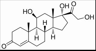 氢化可的松,分析标准品,HPLC≥98%