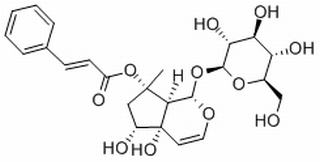 哈巴俄苷，分析标准品,HPLC≥98%