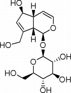 桃叶珊瑚苷,分析标准品,HPLC≥98%