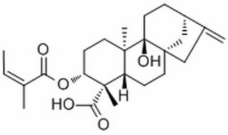 3α-Angeloyloxypterokaurene L3,分析标准品,HPLC≥98%
