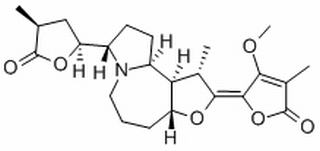 原百部碱,分析标准品,HPLC≥98%